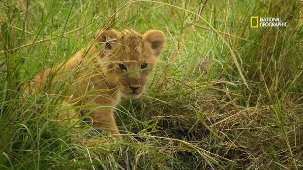 National Geographic
